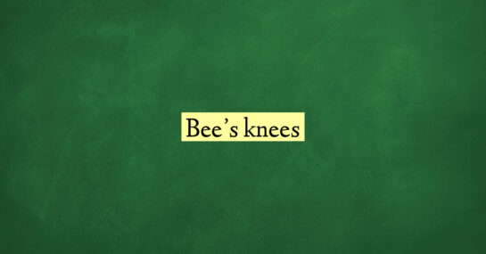 Bee’s knees