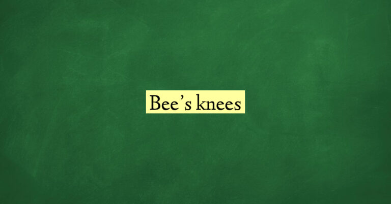 Bee’s knees