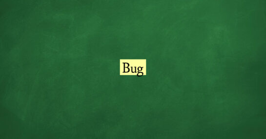 Bug