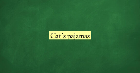 Cat’s pajamas