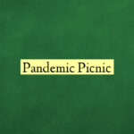 Pandemic Picnic