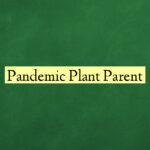 Pandemic Plant Parent