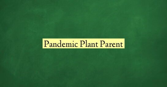 Pandemic Plant Parent