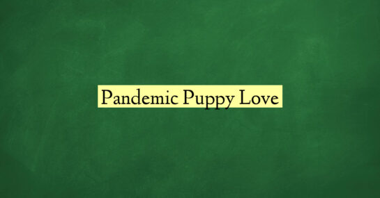Pandemic Puppy Love